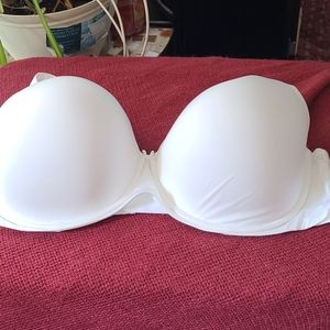 Torrid bra